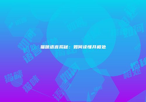 猫咪语言揭秘：如何读懂并相处