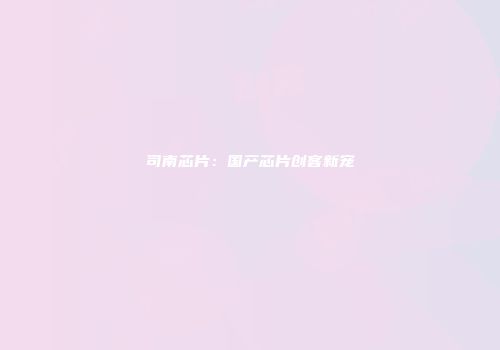 司南芯片：国产芯片创客新宠