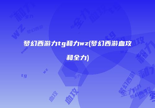 梦幻西游力tg和力wz(梦幻西游血攻和全力)