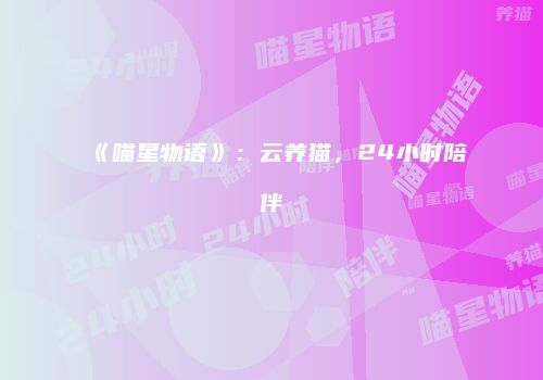 《喵星物语》：云养猫，24小时陪伴