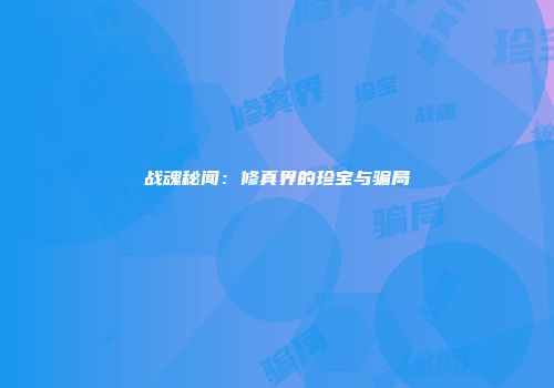 战魂秘闻：修真界的珍宝与骗局
