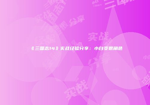 《三国志14》实战经验分享：小白变狠角色