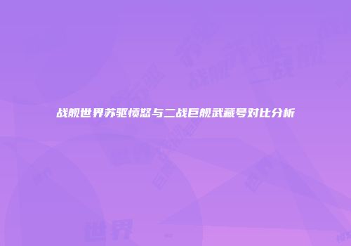 战舰世界苏驱愤怒与二战巨舰武藏号对比分析