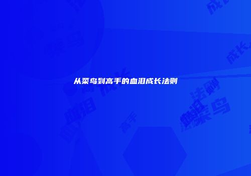 从菜鸟到高手的血泪成长法则