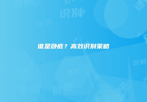 谁是卧底？高效识别策略