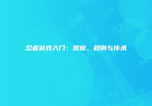 忍者游戏入门：观察、规则与传承