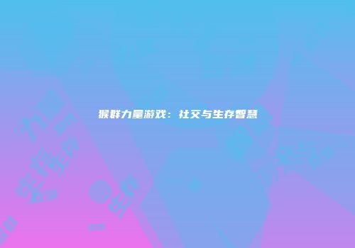 猴群力量游戏：社交与生存智慧