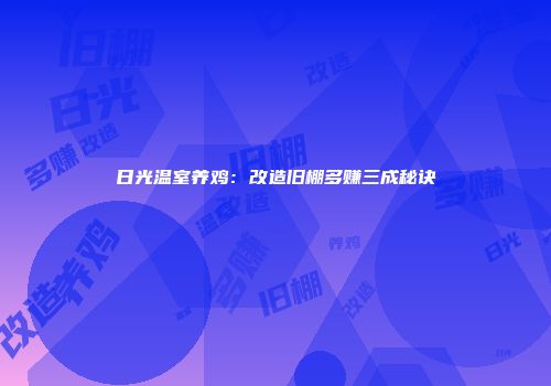 日光温室养鸡：改造旧棚多赚三成秘诀
