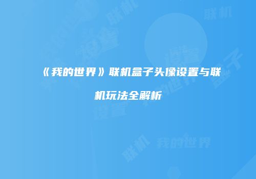 《我的世界》联机盒子头像设置与联机玩法全解析