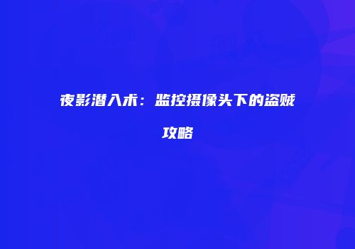 夜影潜入术：监控摄像头下的盗贼攻略