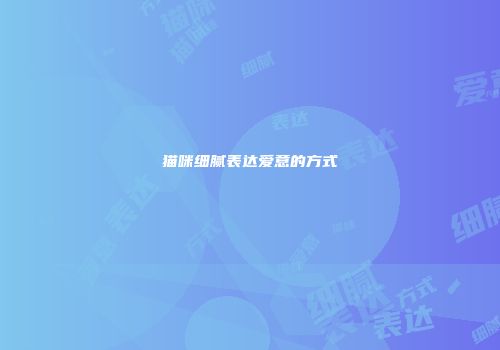 猫咪细腻表达爱意的方式