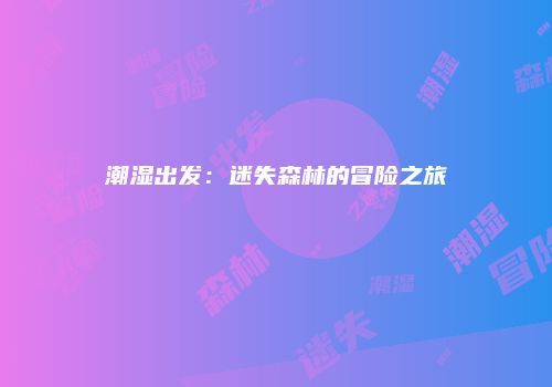 潮湿出发：迷失森林的冒险之旅