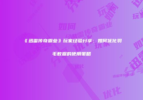 《迅雷传奇霸业》玩家经验分享：如何优化羽毛数据的使用策略