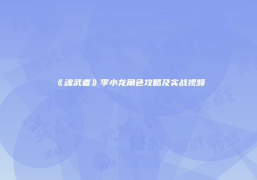 《魂武者》李小龙角色攻略及实战视频