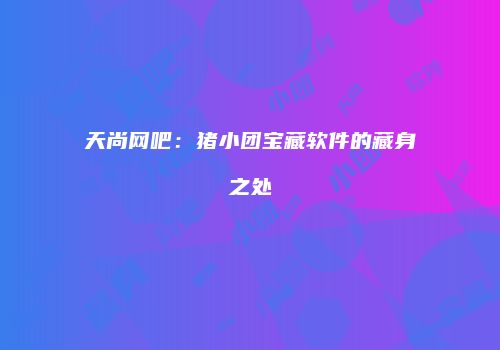 天尚网吧：猪小团宝藏软件的藏身之处