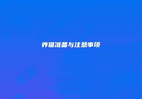养猫准备与注意事项