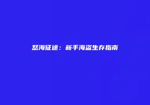 怒海征途：新手海盗生存指南