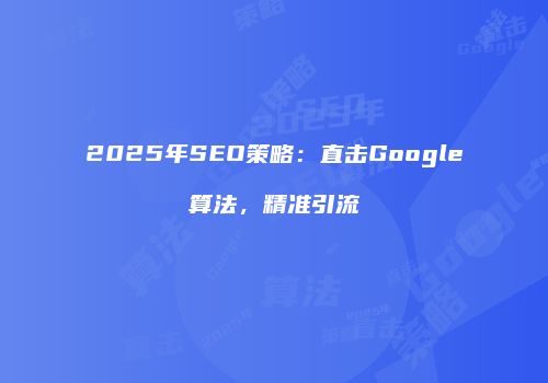2025年SEO策略：直击Google算法，精准引流