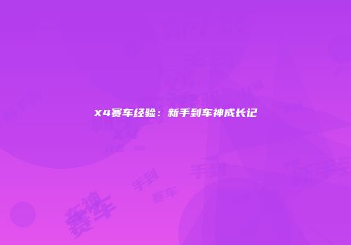X4赛车经验：新手到车神成长记