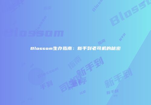 Blossom生存指南：新手到老司机的秘密
