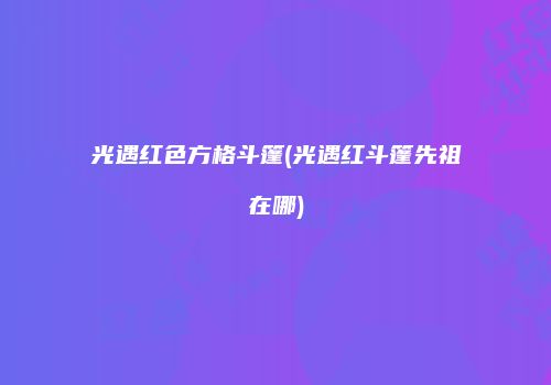 光遇红色方格斗篷(光遇红斗篷先祖在哪)