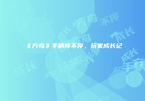 《方鸟》手柄摔不停，玩家成长记