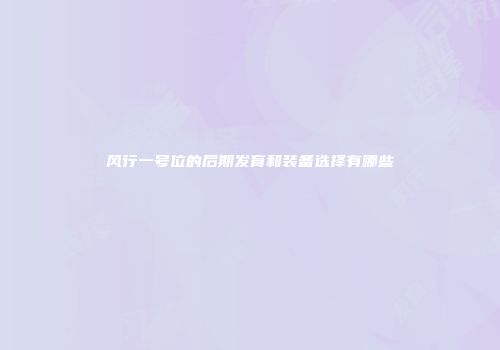 风行一号位的后期发育和装备选择有哪些