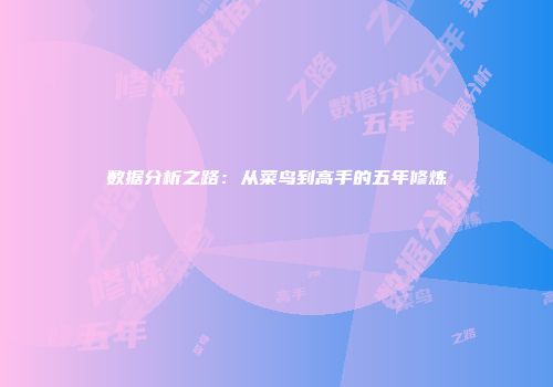 数据分析之路：从菜鸟到高手的五年修炼
