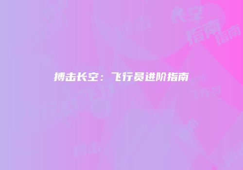 搏击长空：飞行员进阶指南