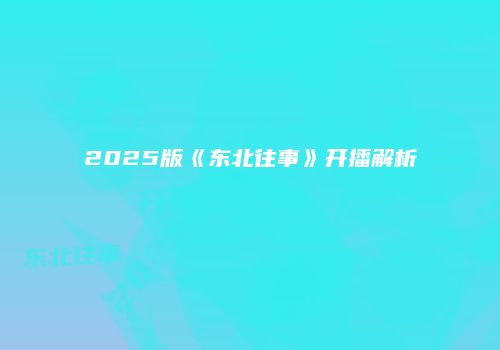 2025版《东北往事》开播解析