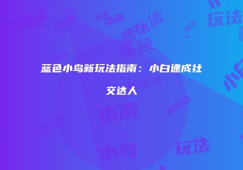 蓝色小鸟新玩法指南：小白速成社交达人