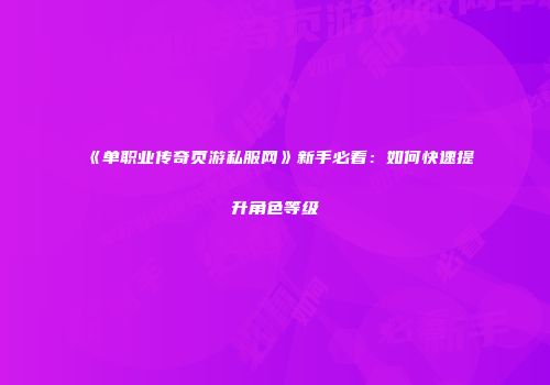 《单职业传奇页游私服网》新手必看：如何快速提升角色等级