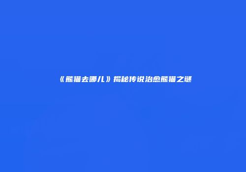 《熊猫去哪儿》揭秘传说治愈熊猫之谜