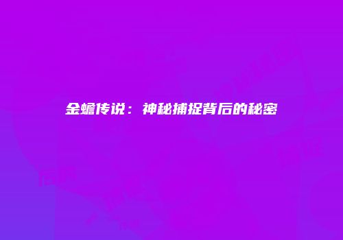 金蟾传说：神秘捕捉背后的秘密