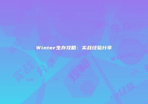 Winter生存攻略：实战经验分享