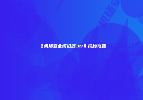 《机场安全模拟器3D》揭秘攻略