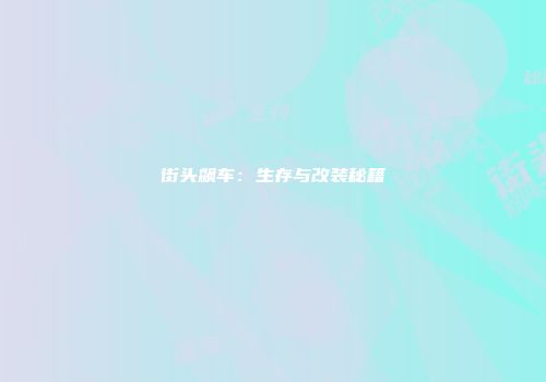 街头飙车：生存与改装秘籍