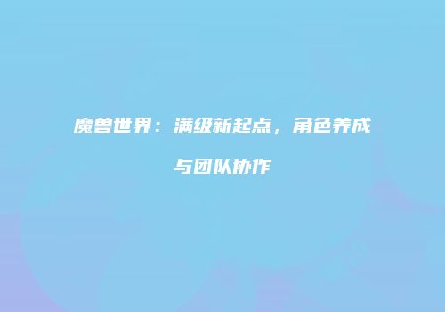魔兽世界：满级新起点，角色养成与团队协作