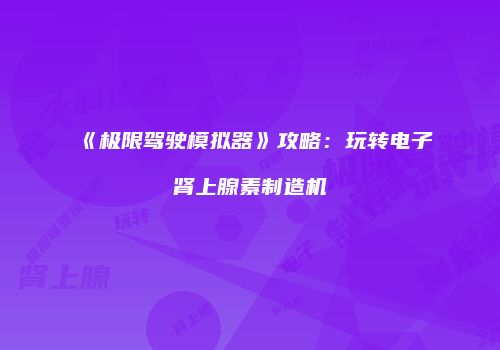 《极限驾驶模拟器》攻略：玩转电子肾上腺素制造机
