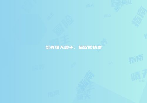 培养晴天霸主：猫冒险指南