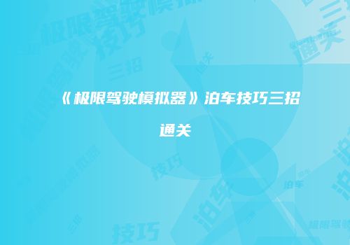 《极限驾驶模拟器》泊车技巧三招通关