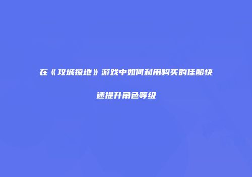 在《攻城掠地》游戏中如何利用购买的佳酿快速提升角色等级
