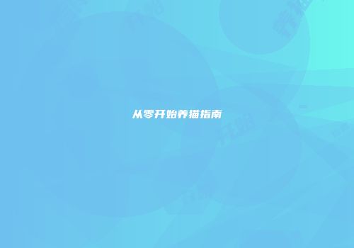 从零开始养猫指南