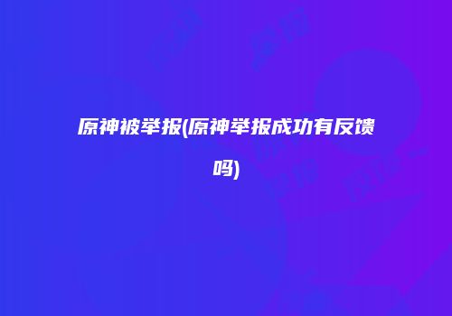 原神被举报(原神举报成功有反馈吗)