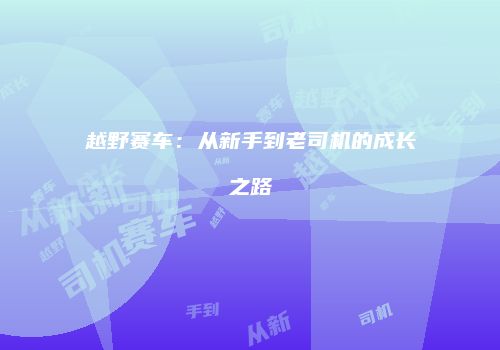 越野赛车：从新手到老司机的成长之路