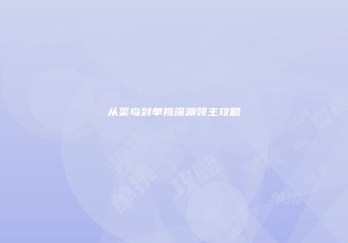 从菜鸟到单挑深渊领主攻略