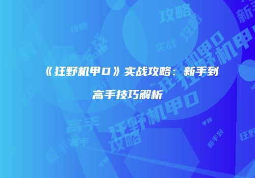 《狂野机甲D》实战攻略：新手到高手技巧解析