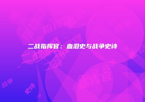 二战指挥官：血泪史与战争史诗