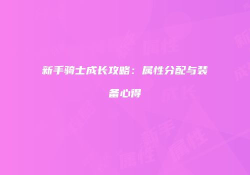 新手骑士成长攻略：属性分配与装备心得