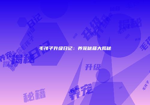 毛孩子升级日记：养宠秘籍大揭秘